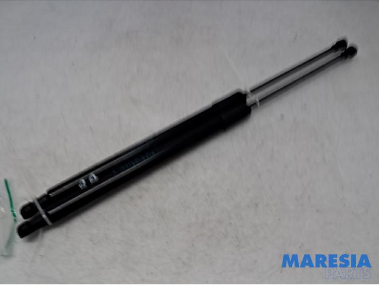Renault - Scenic - Set of tailgate gas struts