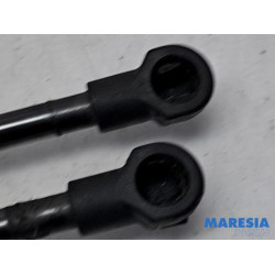 Renault - Scenic - Set of tailgate gas struts