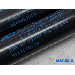 Renault - Scenic - Set of tailgate gas struts