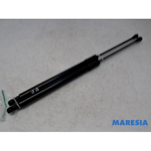 Renault - Scenic - Set of tailgate gas struts