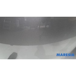 Peugeot - 206 PLUS - Motorkap