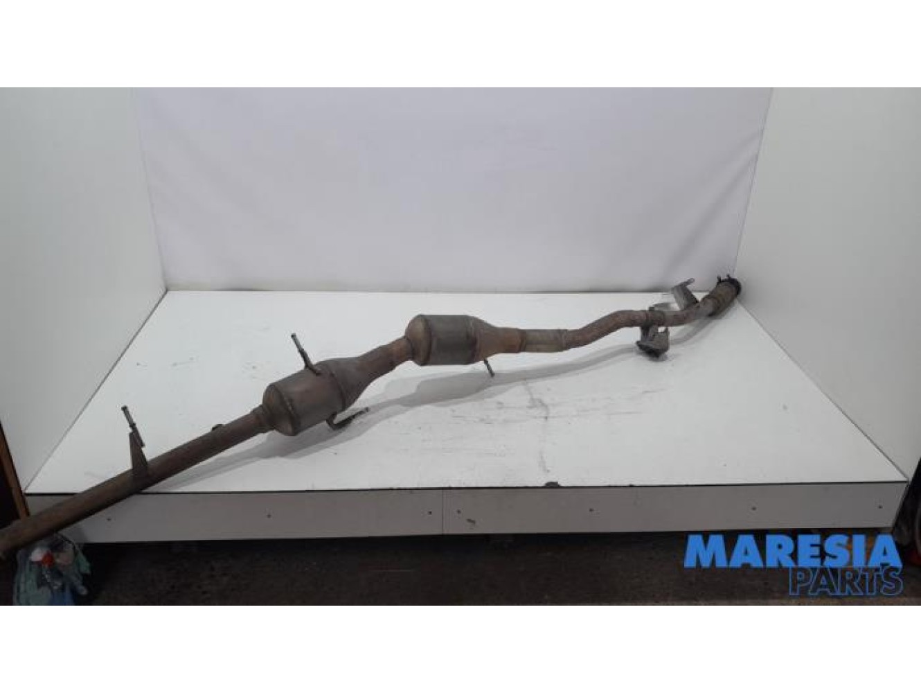 Fiat - Talento - Catalytic converter