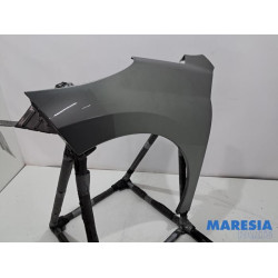 Peugeot - 207 - Front wing, left
