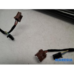 Renault - Talisman - Set of tailgate gas struts