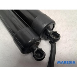 Renault - Talisman - Set of tailgate gas struts