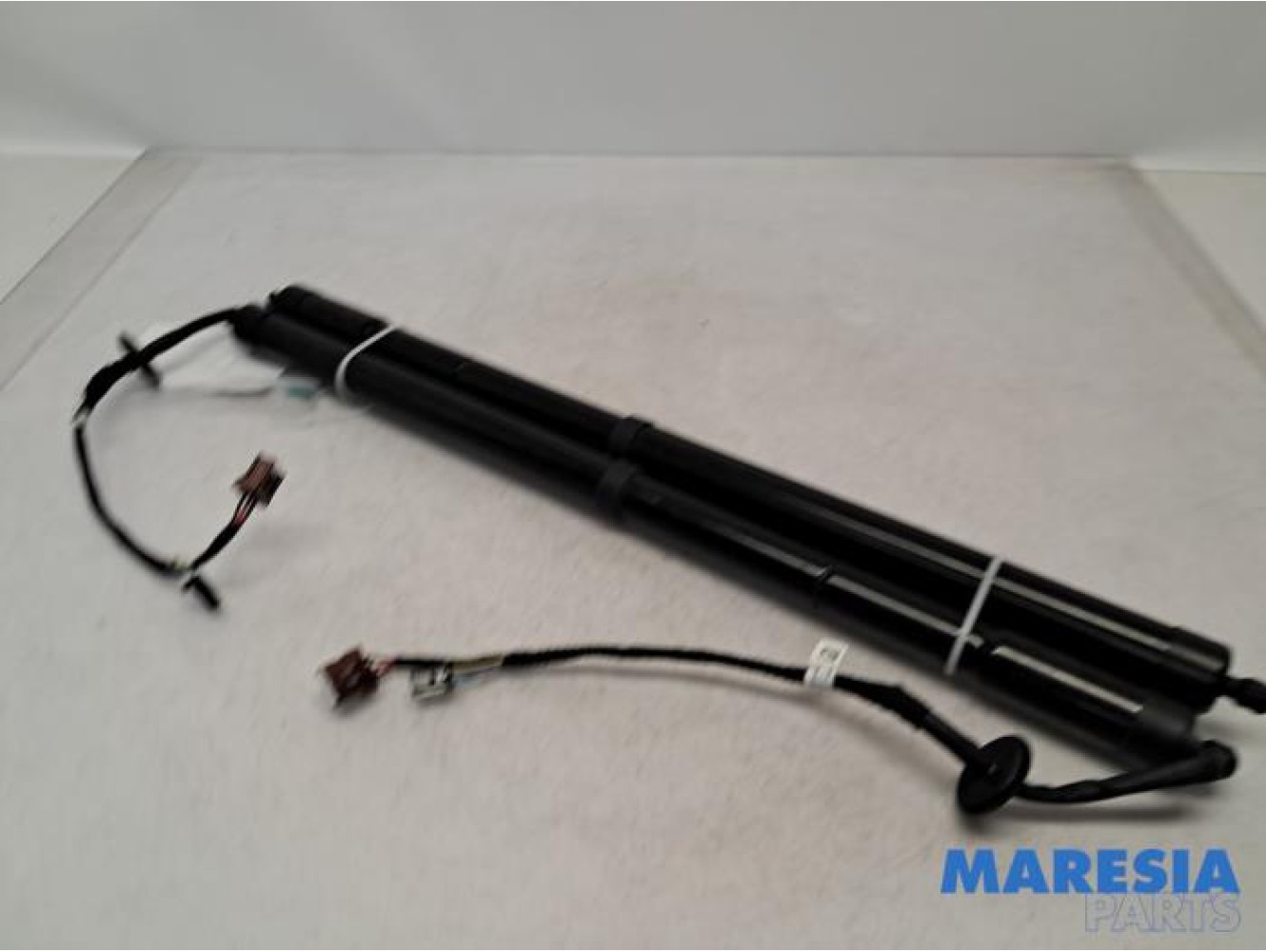 Renault - Talisman - Set of tailgate gas struts