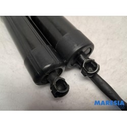 Renault - Talisman - Set of tailgate gas struts