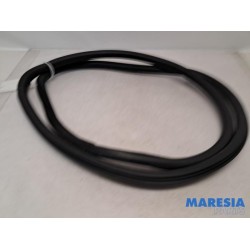 Renault - Talisman - Front door seal 4-door, left