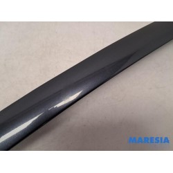 Citroen - C4 Picasso - Frontscreen frame