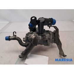 Citroen - C4 Picasso - EGR valve