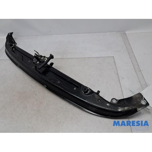 Peugeot - 206 PLUS - Lock plate