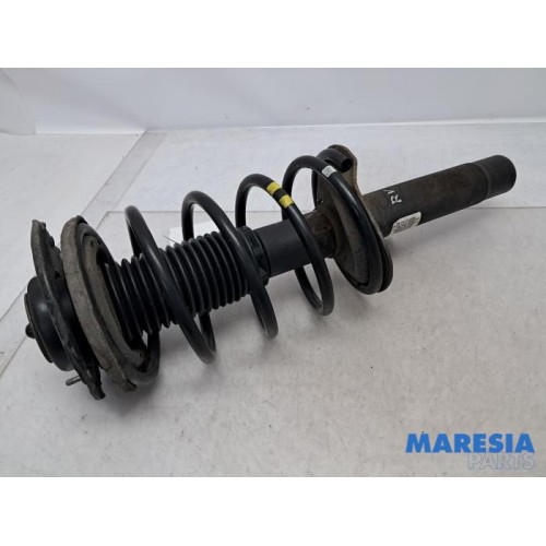 Peugeot - 206 PLUS - Front shock absorber rod, right
