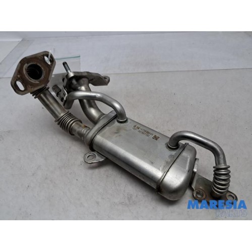 Renault - Clio - EGR cooler