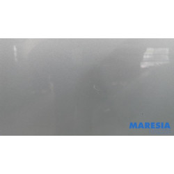Renault - Kangoo - Portier 2Deurs rechts