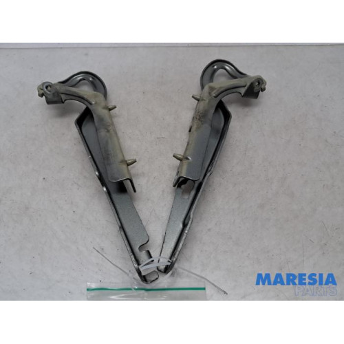 Peugeot - 207 - Bonnet Hinge