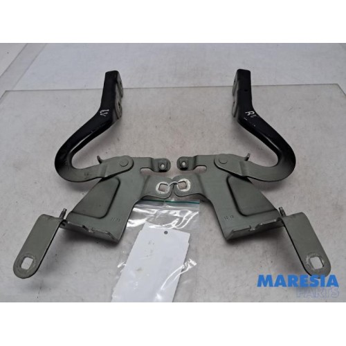 Renault - Clio - Bonnet Hinge