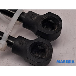 Renault - Clio - Set of tailgate gas struts