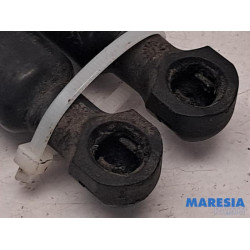 Renault - Clio - Set of tailgate gas struts