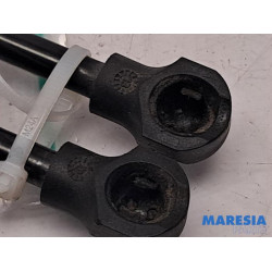 Renault - Clio - Set of tailgate gas struts