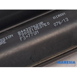 Renault - Clio - Set of tailgate gas struts