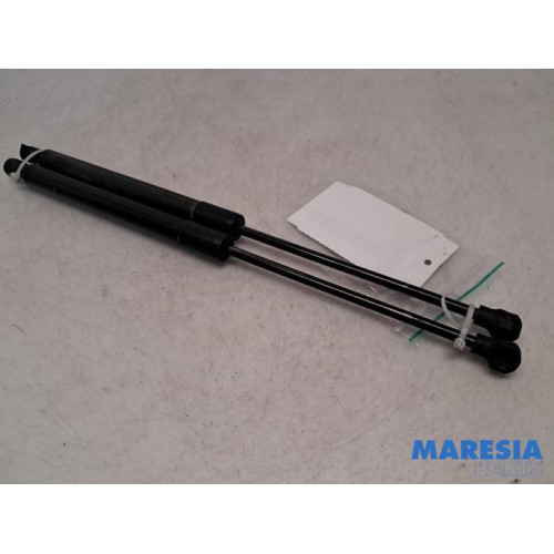 Renault - Clio - Set of tailgate gas struts