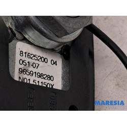 Peugeot - 207 - Antenne