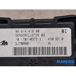 Peugeot - 207 - Esp computer