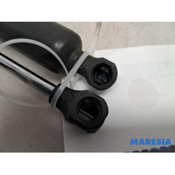 Citroen - Berlingo - Set of tailgate gas struts