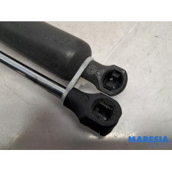 Citroen - Berlingo - Set of tailgate gas struts
