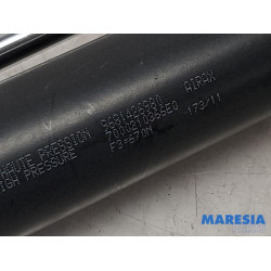 Citroen - Berlingo - Set of tailgate gas struts