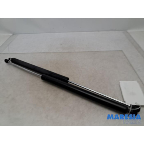 Citroen - Berlingo - Set of tailgate gas struts