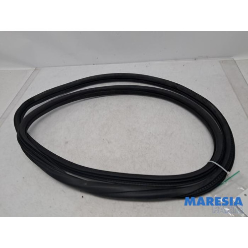 Peugeot - 2008 - Front door seal 4-door, left