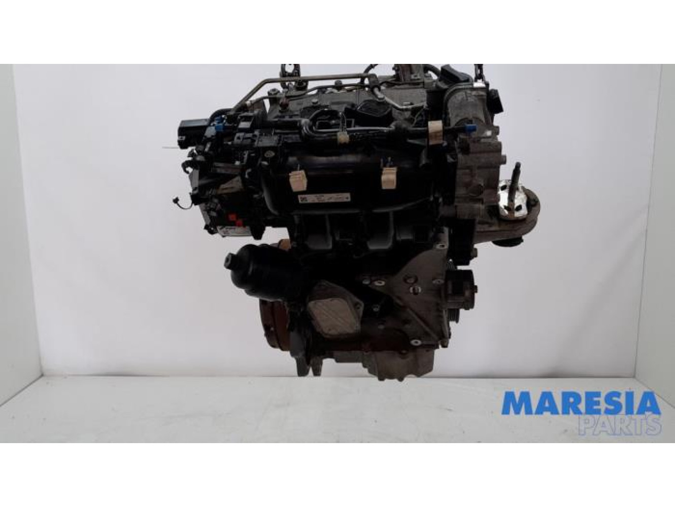 Fiat - Panda - Motor