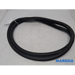 Peugeot - 2008 - Portierrubber 4Deurs links-achter
