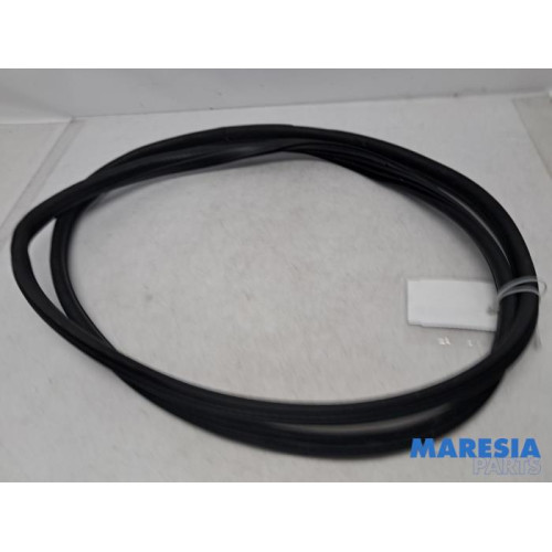 Peugeot - 3008 - Front door seal 4-door, left