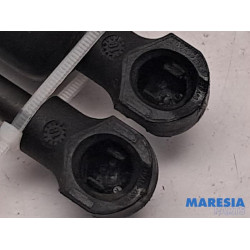 Peugeot - Expert - Set of tailgate gas struts