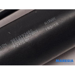 Peugeot - Expert - Set of tailgate gas struts