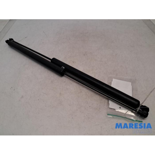 Peugeot - Expert - Set of tailgate gas struts