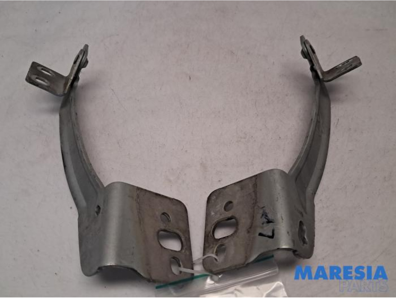 Renault - Kangoo - Bonnet Hinge