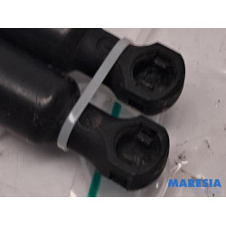 Renault - Kangoo - Set of tailgate gas struts