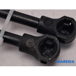 Renault - Kangoo - Set of tailgate gas struts