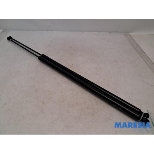 Renault - Kangoo - Set of tailgate gas struts