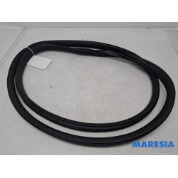 Citroen - C3 - Front door seal 4-door, left