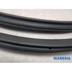 Citroen - C3 - Front door seal 4-door, left