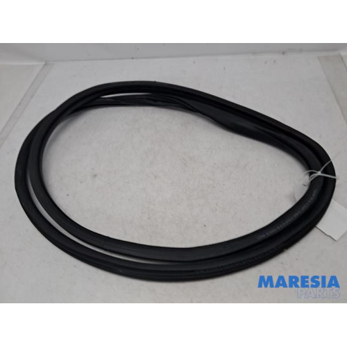 Citroen - C3 - Front door seal 4-door, left