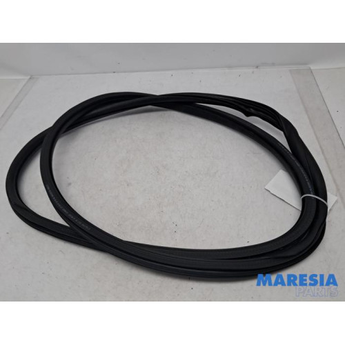Citroen - C3 - Front door seal 4-door, right
