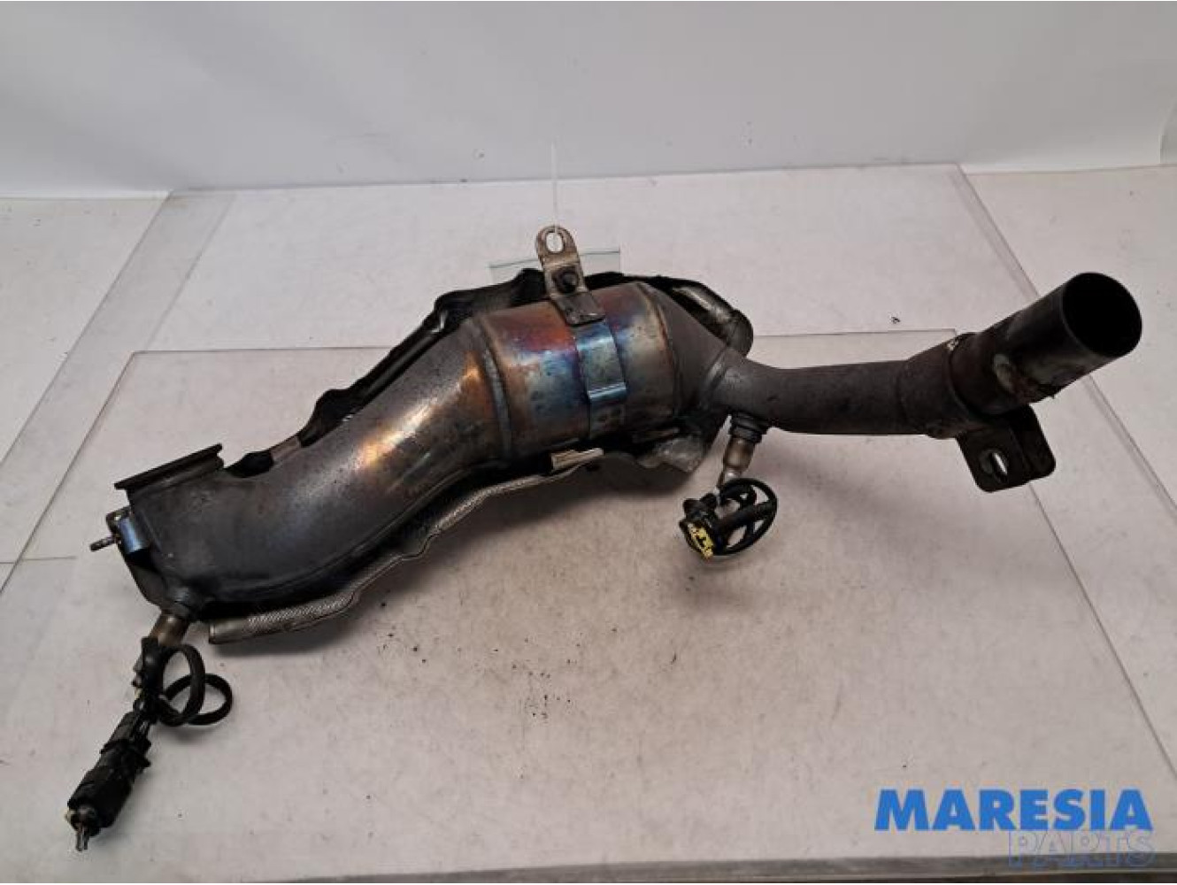 Fiat - Panda - Catalytic converter