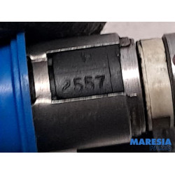 Fiat - Panda - Injector (petrol injection)