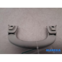 Fiat - 500L - Handle