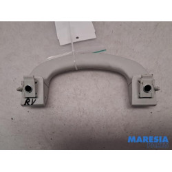 Fiat - 500L - Handle
